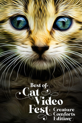 <em>Best of CatVideoFest: Creature Comforts Edition</em>