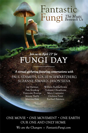 <em>Fantastic Fungi</em>